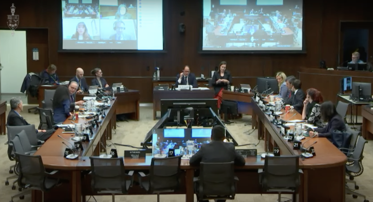 Human rights testimony on arbitrary detention and torture in&hellip;